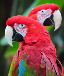 بنر پیشنهاد شگفت‌انگیز